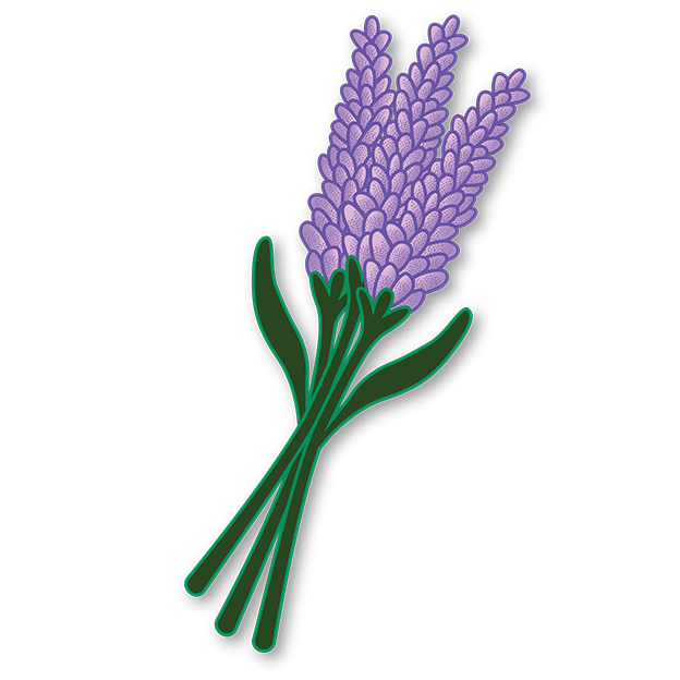 Cut-Out Cards - Lavender - Flower Of Serenity