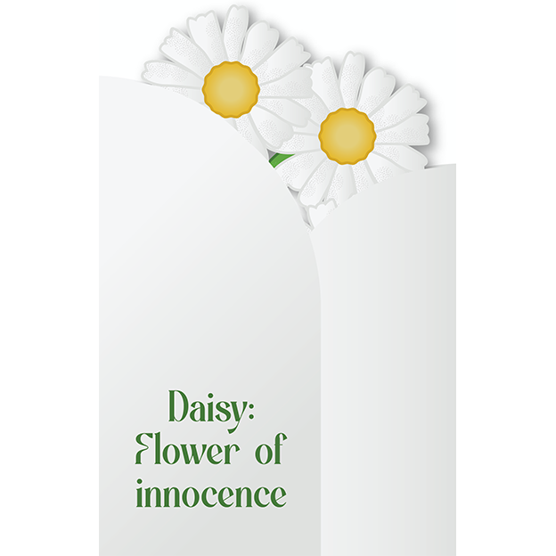 Cut-Out Cards - Daisy - Flower Of Innocence