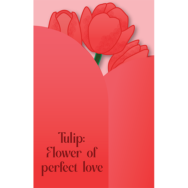 Cut-Out Cards - Tulip - Flower Of Perfect Love