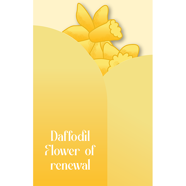 Cut-Out Cards - Daffodil - Flower Of Renewal