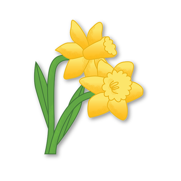 Cut-Out Cards - Daffodil - Flower Of Renewal
