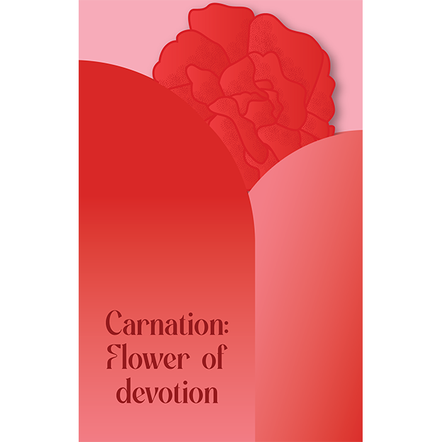 Cut-Out Cards - Carnation - Flower Of Devotion