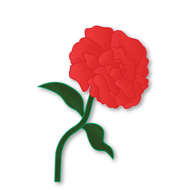 Cut-Out Cards - Carnation - Flower Of Devotion