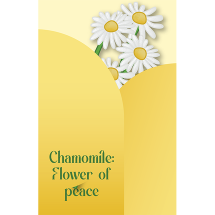 Cut-Out Cards - Chamomile - Flower Of Peace