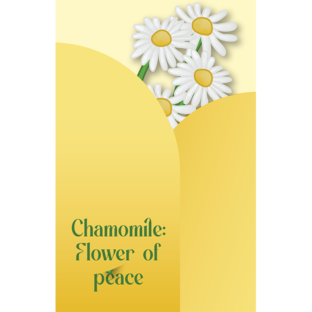 Cut-Out Cards - Chamomile - Flower Of Peace