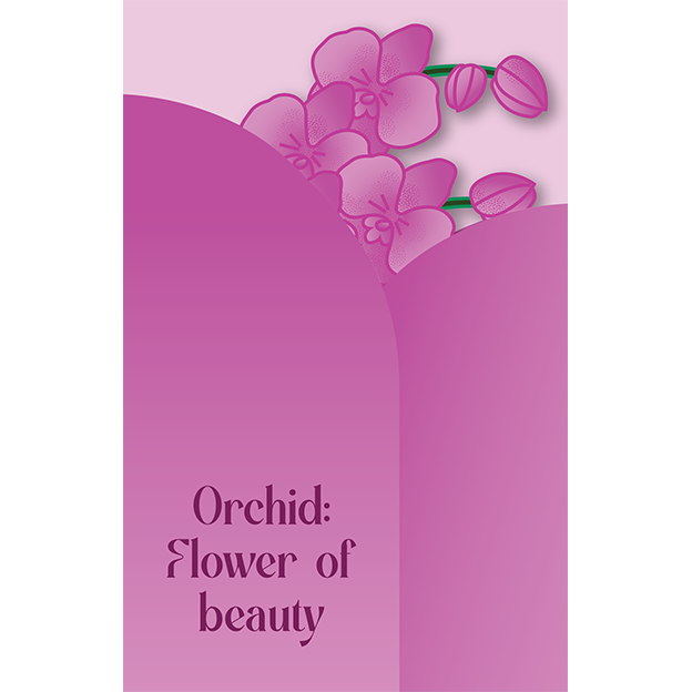 Cut-Out Cards - Orchid - Flower Of Beauty