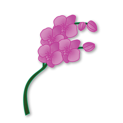 Cut-Out Cards - Orchid - Flower Of Beauty