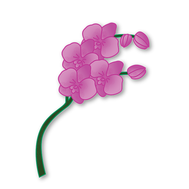 Cut-Out Cards - Orchid - Flower Of Beauty