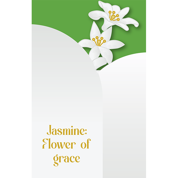 Cut-Out Cards - Jasmine - Flower Of Grace