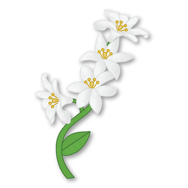 Cut-Out Cards - Jasmine - Flower Of Grace