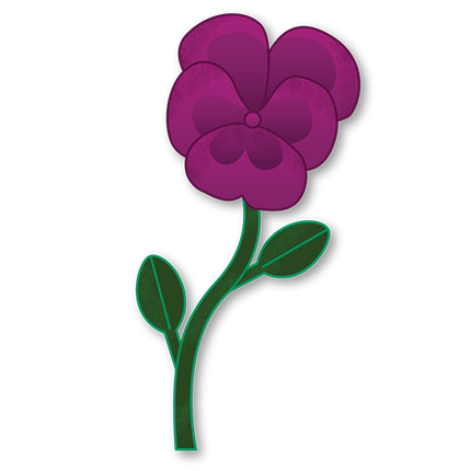 Cut-Out Cards - Pansy - Flower Of Faithfulness