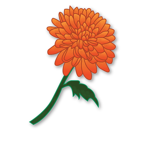 Cut-Out Cards - Chrysanthemum - Flower Of Longevity