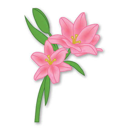 Cut-Out Cards - Lily - Flower Of Purity