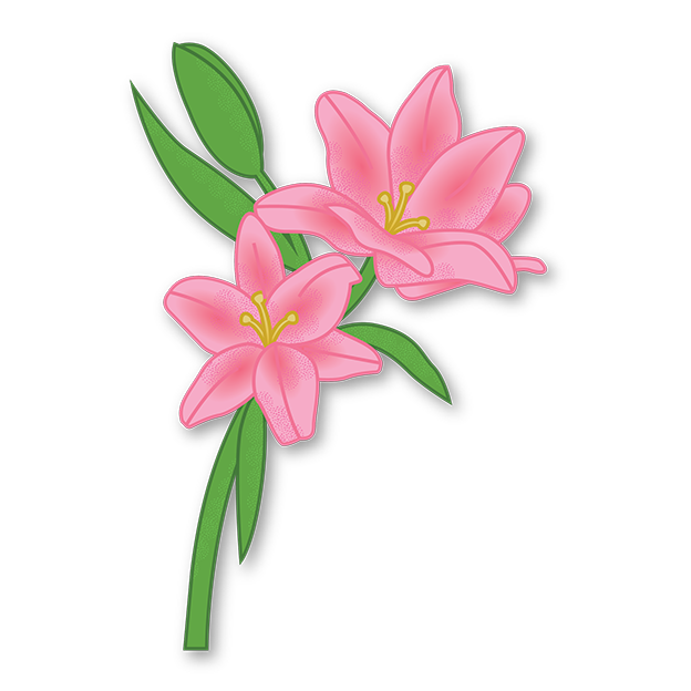 Cut-Out Cards - Lily - Flower Of Purity