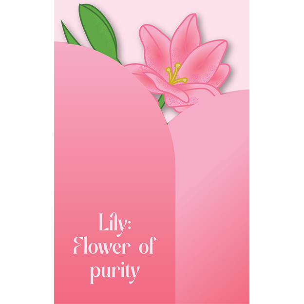 Cut-Out Cards - Lily - Flower Of Purity