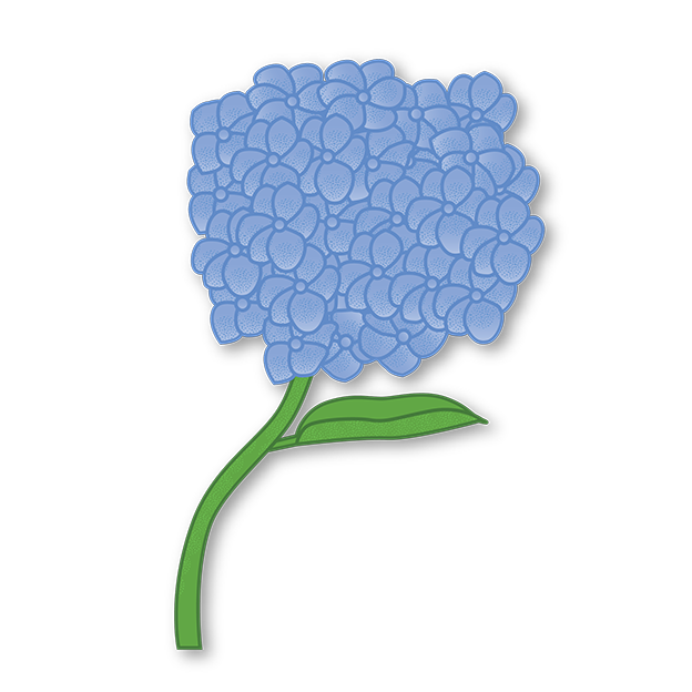 Cut-Out Cards - hydrangea - Flower Of Understanding