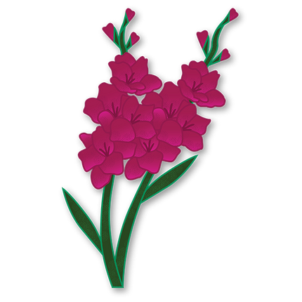 Cut-Out Cards - Gladiolus - Flower Of Strength
