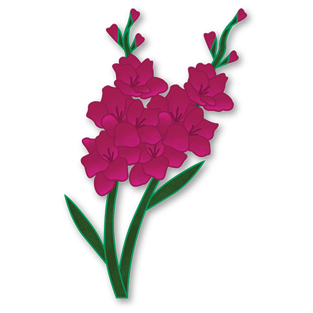 Cut-Out Cards - Gladiolus - Flower Of Strength