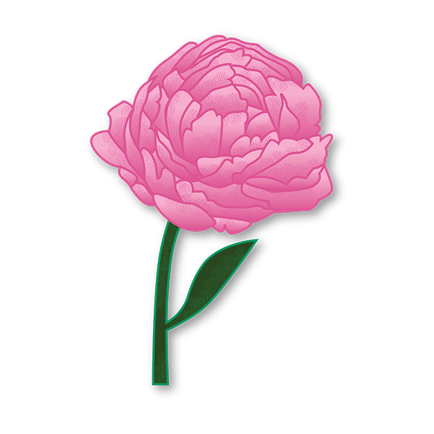 Cut-Out Cards - Peony - Flower Of Posperity