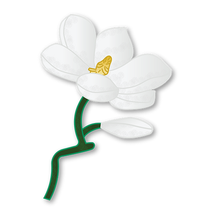 Cut-Out Cards - Magnolia - Flower Of Dignity