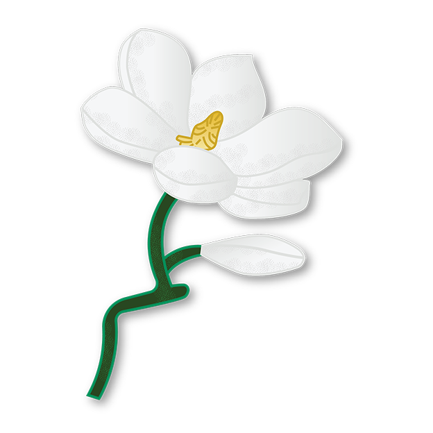 Cut-Out Cards - Magnolia - Flower Of Dignity
