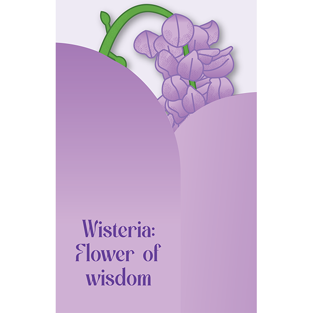 Cut-Out Cards - Wisteria - Flower Of Wisdom