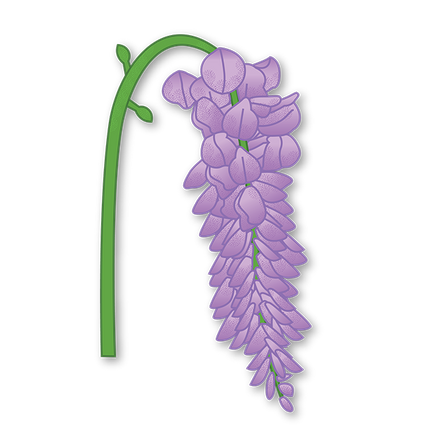 Cut-Out Cards - Wisteria - Flower Of Wisdom
