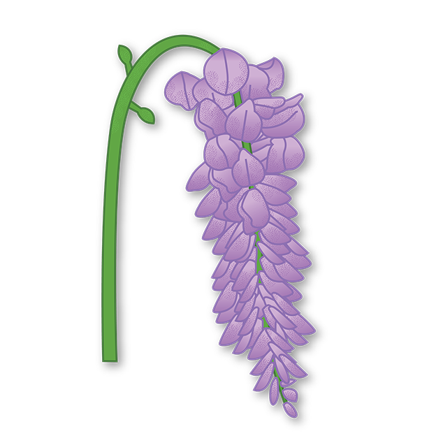Cut-Out Cards - Wisteria - Flower Of Wisdom