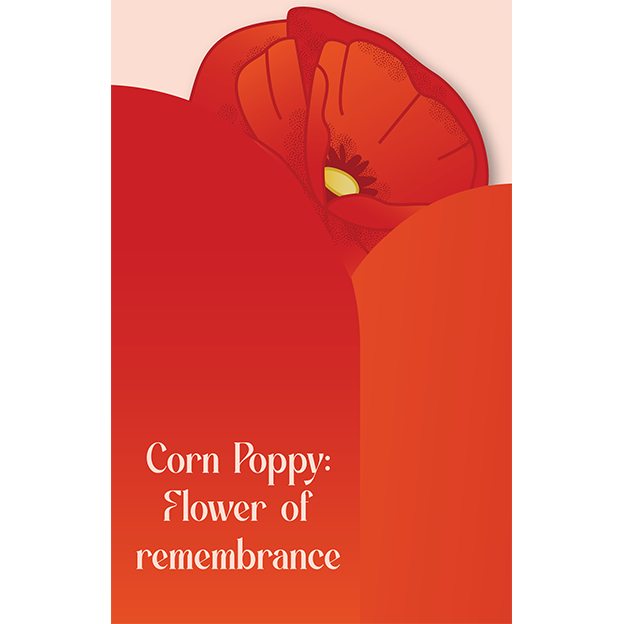 Cut-Out Cards - Corn Poppy - Flower Of Remembrance