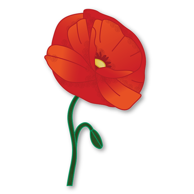 Cut-Out Cards - Corn Poppy - Flower Of Remembrance