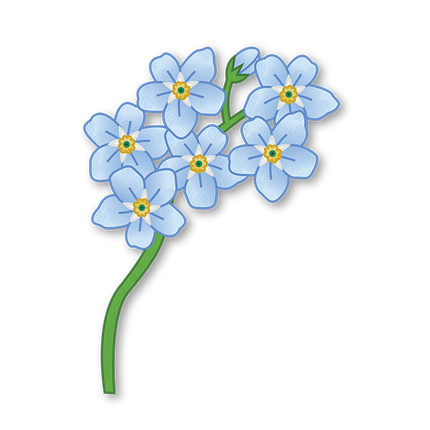 Cut-Out Cards - Forget-Me-Not - Flower Of Memories