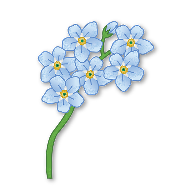 Cut-Out Cards - Forget-Me-Not - Flower Of Memories