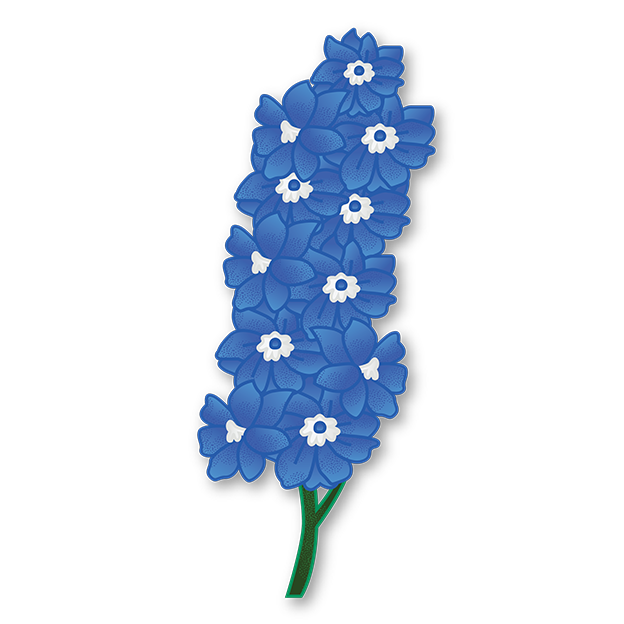 Cut-Out Cards - Larkspur - Flower Of Lightheartedness