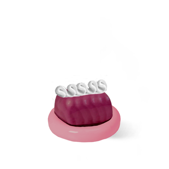 Storage Container - Cake