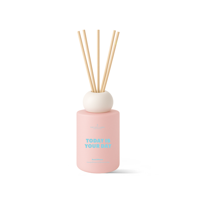 Frosted Reed Diffuser 100ml - STUDIO - Today Is Your Day