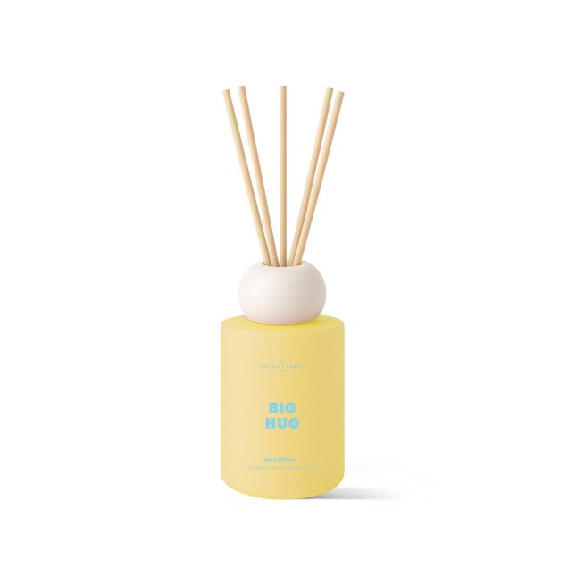 Frosted Reed Diffuser 100ml - STUDIO - Big Hug