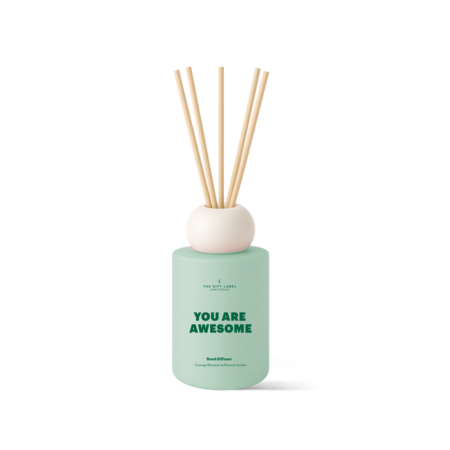 Frosted Reed Diffuser 100ml - STUDIO - You Are Awesome