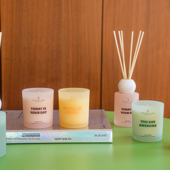 Frosted Reed Diffuser 100ml - STUDIO - Big Hug