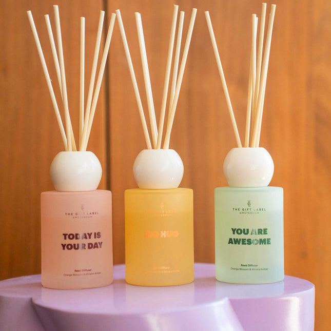 Frosted Reed Diffuser 100ml - STUDIO - Big Hug
