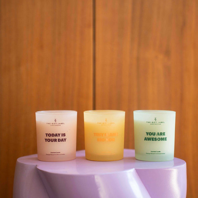 Frosted candle 170gr - STUDIO - Tiny Flame, Big Hug