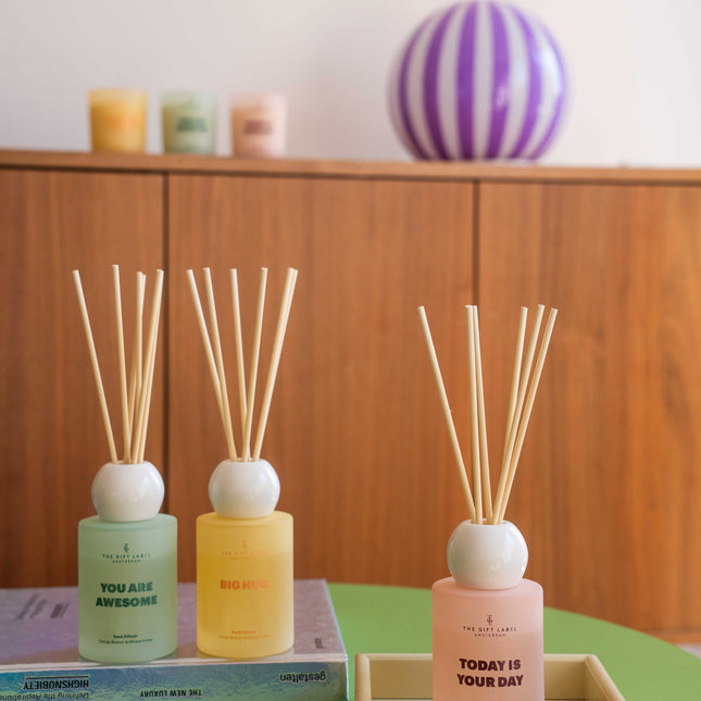 Frosted Reed Diffuser 100ml - STUDIO - Big Hug
