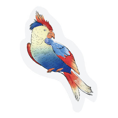 Cut-out kaart - Parrot