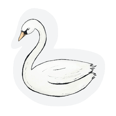 Cut-out kaart - Swan